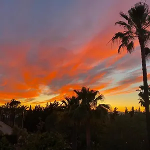 https://hotel-xapala-el-arenal.allmallorcahotels.com